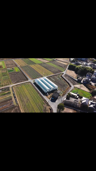 玉垣 直哉(SOLE SPROUT)