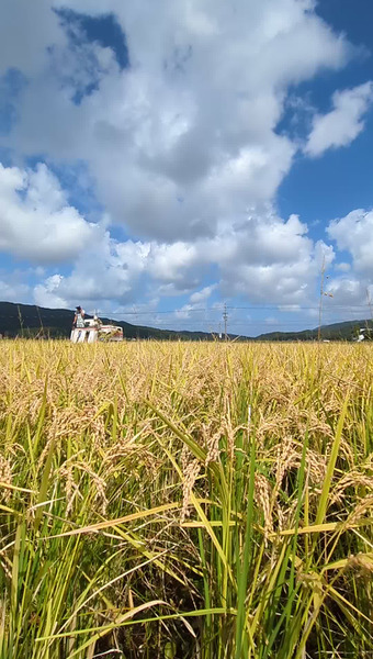 ハンズファーム