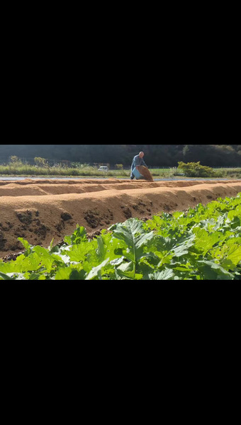 ハンズファーム