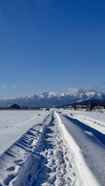 しまねずみファーム