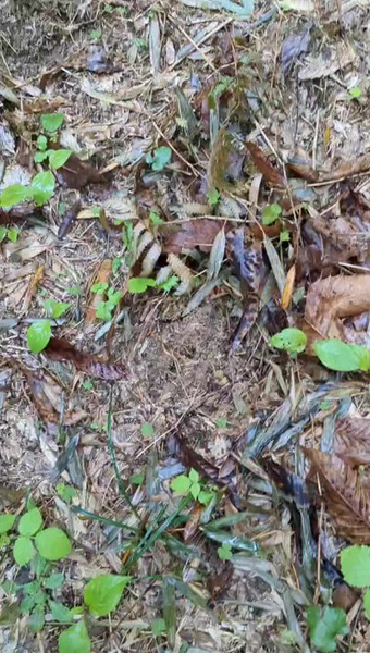 田野　和典（tanotan.farm）