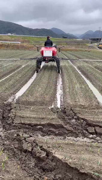 グリーンファーム