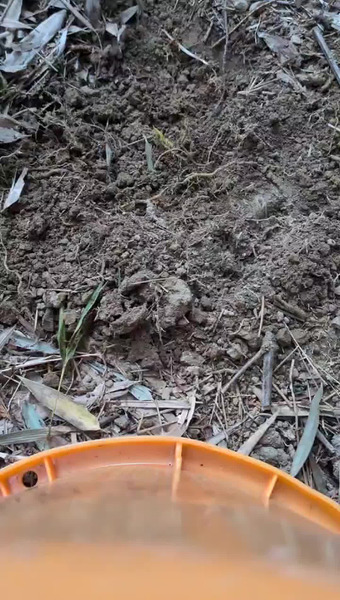 田野　和典（tanotan.farm）