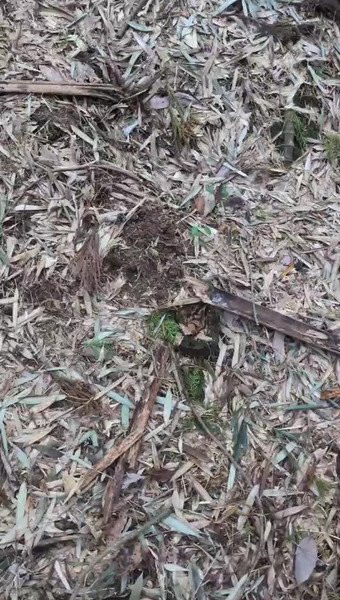 田野　和典（tanotan.farm）