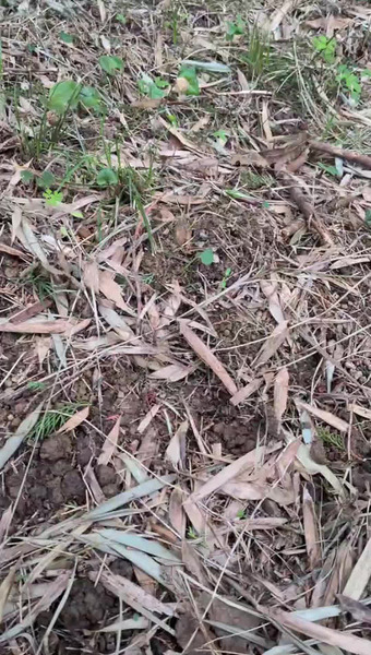 田野　和典（tanotan.farm）