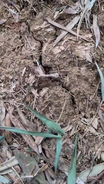 田野　和典（tanotan.farm）