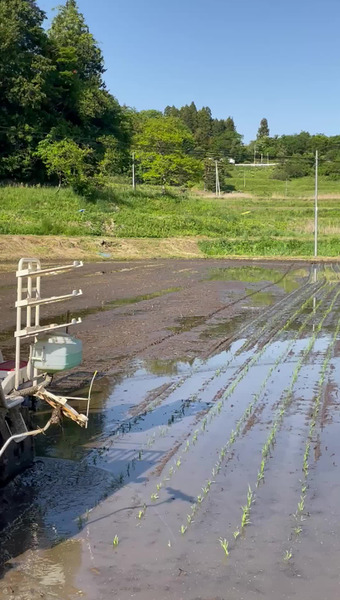 千田農園
