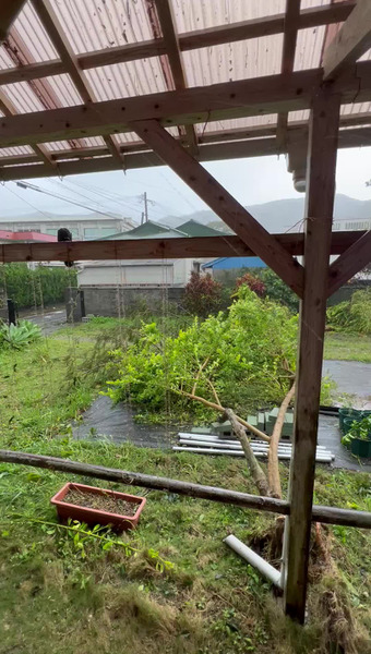 よ〜り〜農園