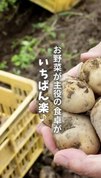 上杉農園