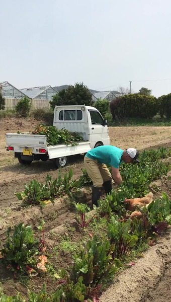 DIEZ  farm