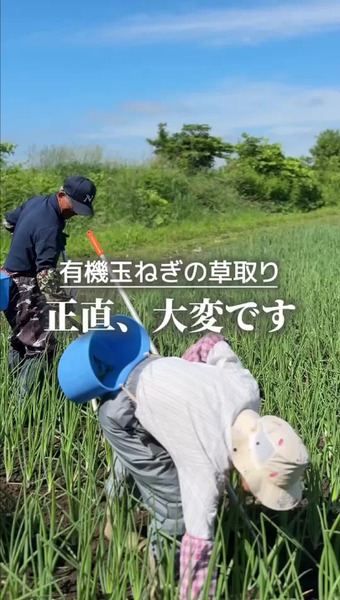 上杉農園