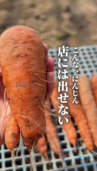 上杉農園