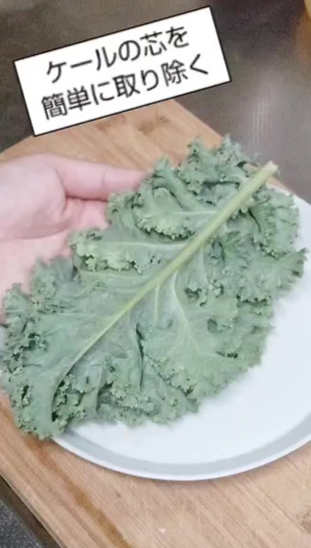 FENNEL