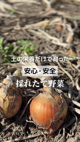 上杉農園