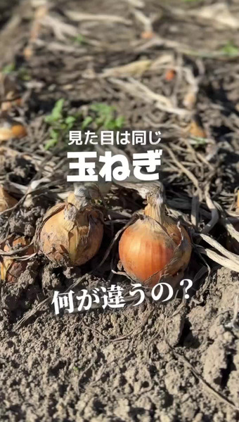 上杉農園