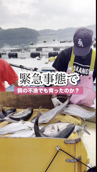 長崎のイケメン漁師 坂野水産