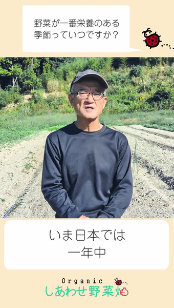 しあわせ野菜畑